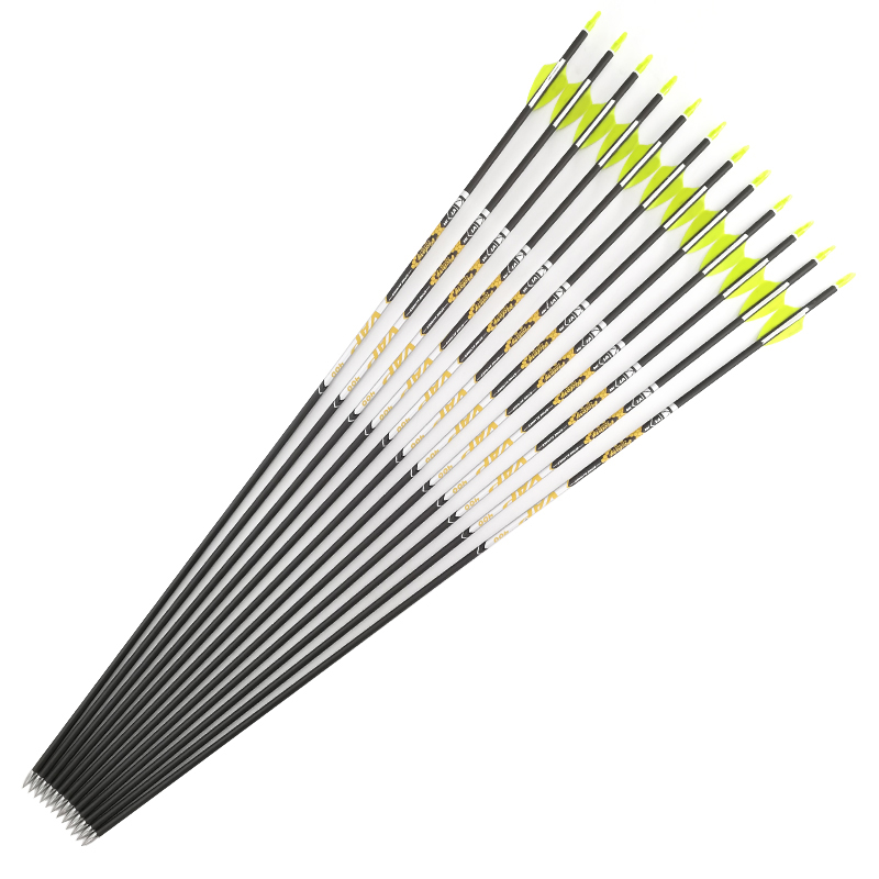 Archery Spine 350 400 450 500  - Hunting Bow Compound review and price