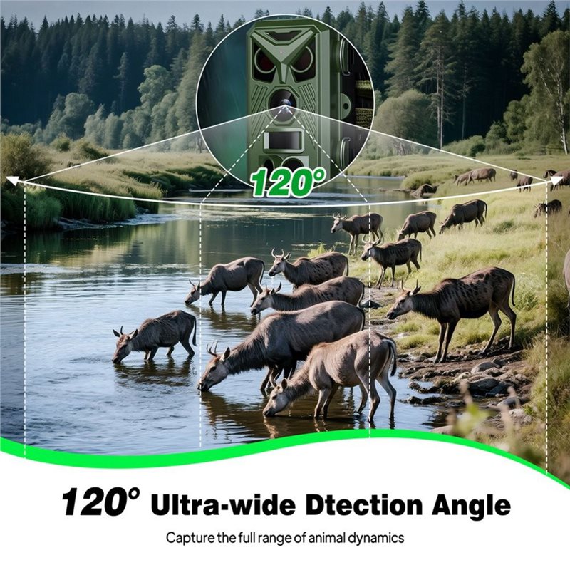 BTLIFE-Wildlife Surveillance 1 - Trail Camera Infrared review and price