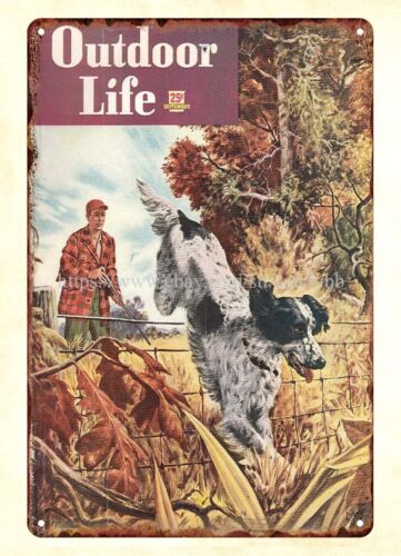 in home decor 1948 OUTDOOR LIF - Outdoor Hunting Dogs review and price
