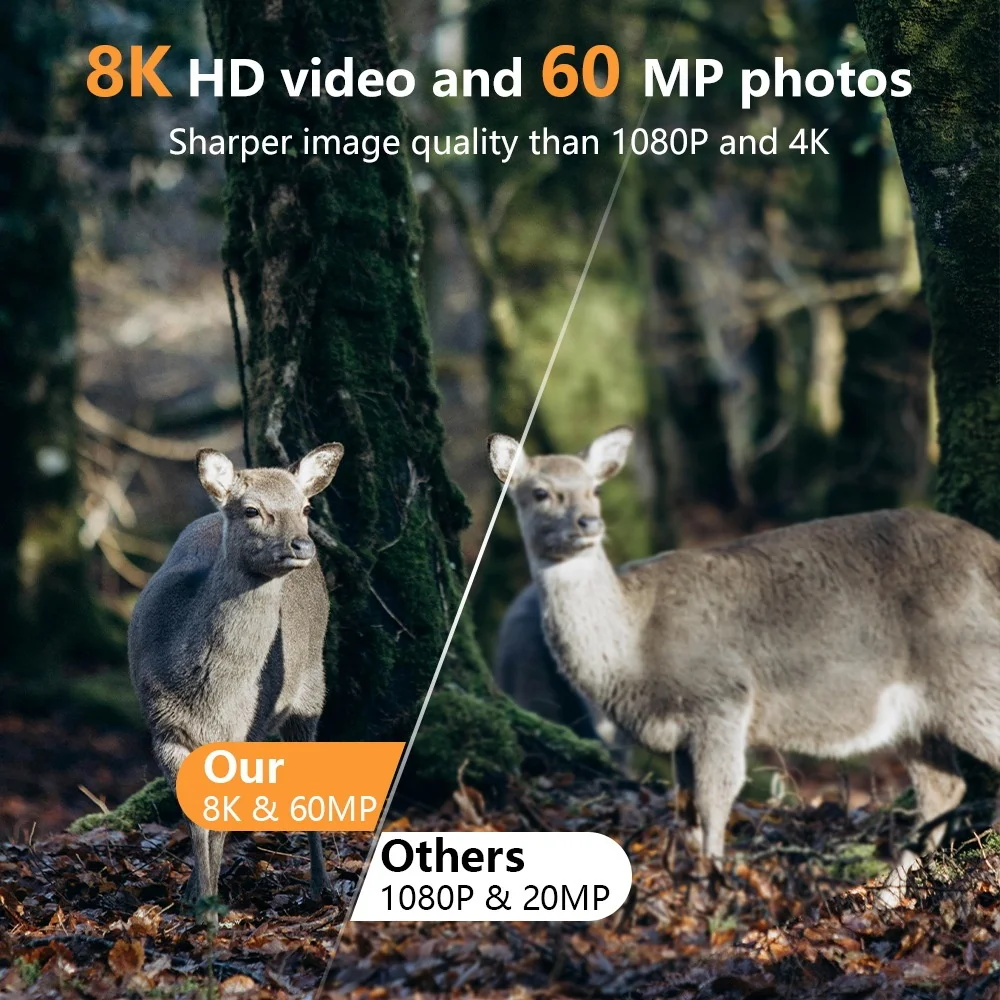 PR803W 8K WiFi Trail Camera -  - Trail Camera Infrared review and price