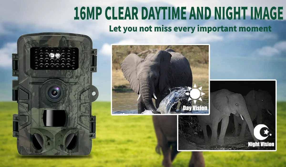 Hunting Trail Camera PR700 wit - Trail Camera Infrared review and price