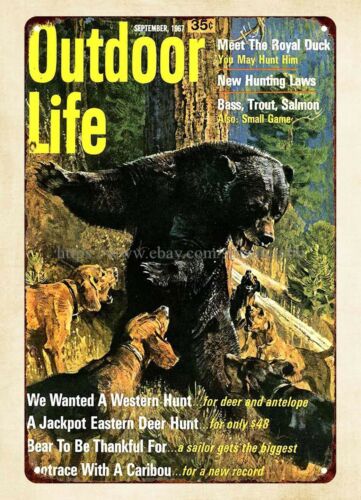 office wall decor 1967 Outdoor - Outdoor Hunting Dogs review and price
