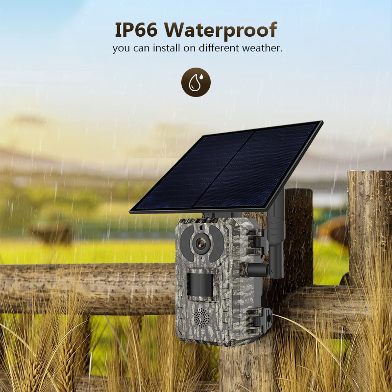 4G 4MP Outdoor Wildlife Huntin - Trail Camera Infrared review and price