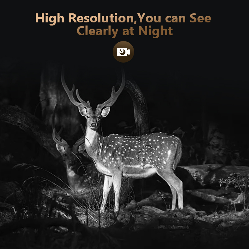 4G 4MP Outdoor Wildlife Huntin - Trail Camera Infrared review and price