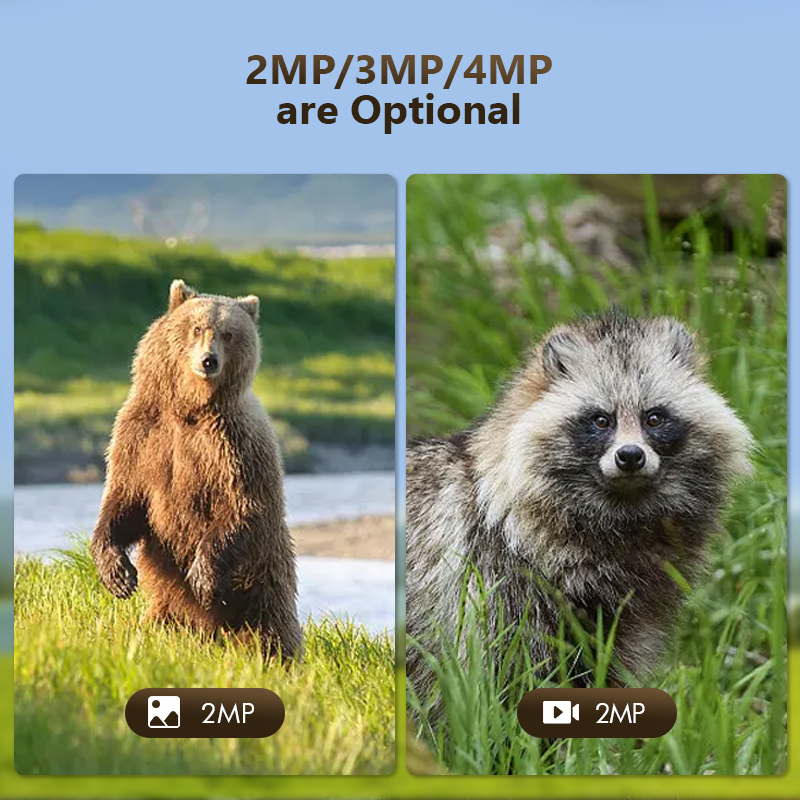 4G 4MP Outdoor Wildlife Huntin - Trail Camera Infrared review and price
