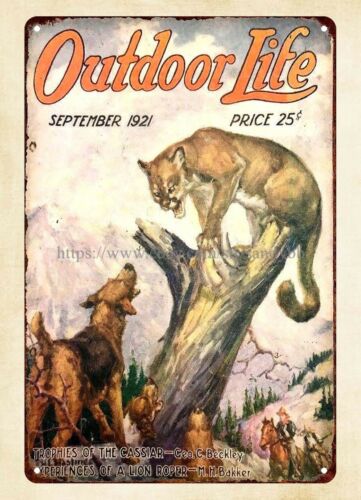 buy wall 1921 OUTDOOR LIFE mag - Outdoor Hunting Dogs review and price