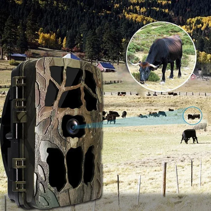 H982 IP66 Waterproof 4K Outdoo - Trail Camera Infrared review and price