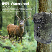 20MP 1080P PR100 Trail Camera  - Trail Camera Infrared review and price