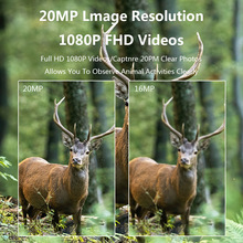 20MP 1080P PR100 Trail Camera  - Trail Camera Infrared review and price