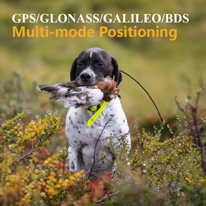 Global GPS Pet Tracker Real Ti - Outdoor Hunting Dog Supply review and price