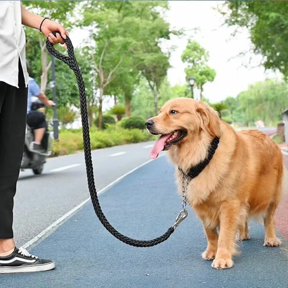 Heavy Duty Large Dog Leash Dur - Outdoor Hunting Dogs review and price