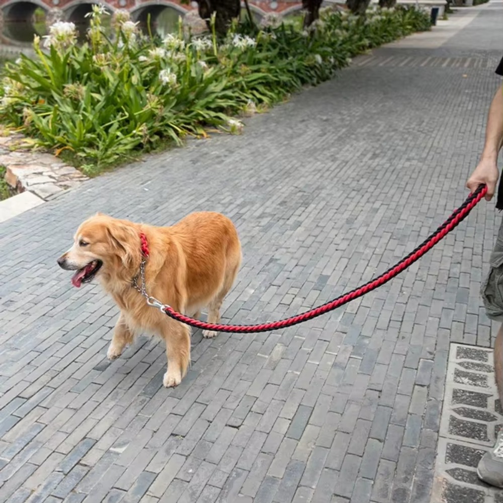 Heavy Duty Large Dog Leash Dur - Outdoor Hunting Dogs review and price